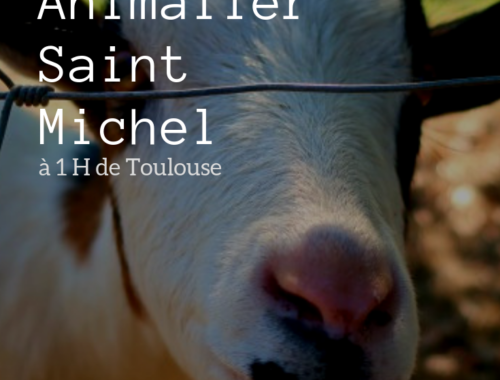 le parc animalier saint michel ariège le parc animalier saint michel ariège